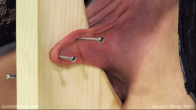 Nailed Labias - Abby - Queensnake.com - Queensect.com xxx lesbian video